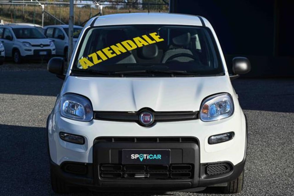 Fiat Panda usata a Torino (2)