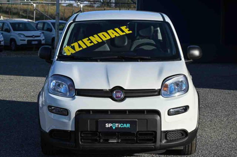 Fiat Panda usata a Torino (2)