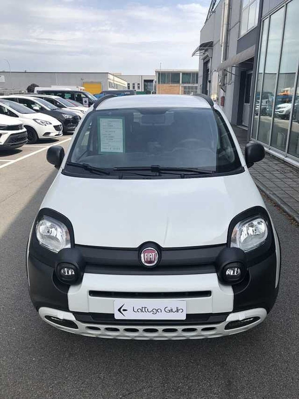 Fiat Panda usata a Ravenna (2)