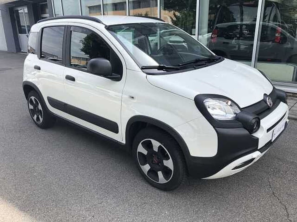 Fiat Panda usata a Ravenna (3)