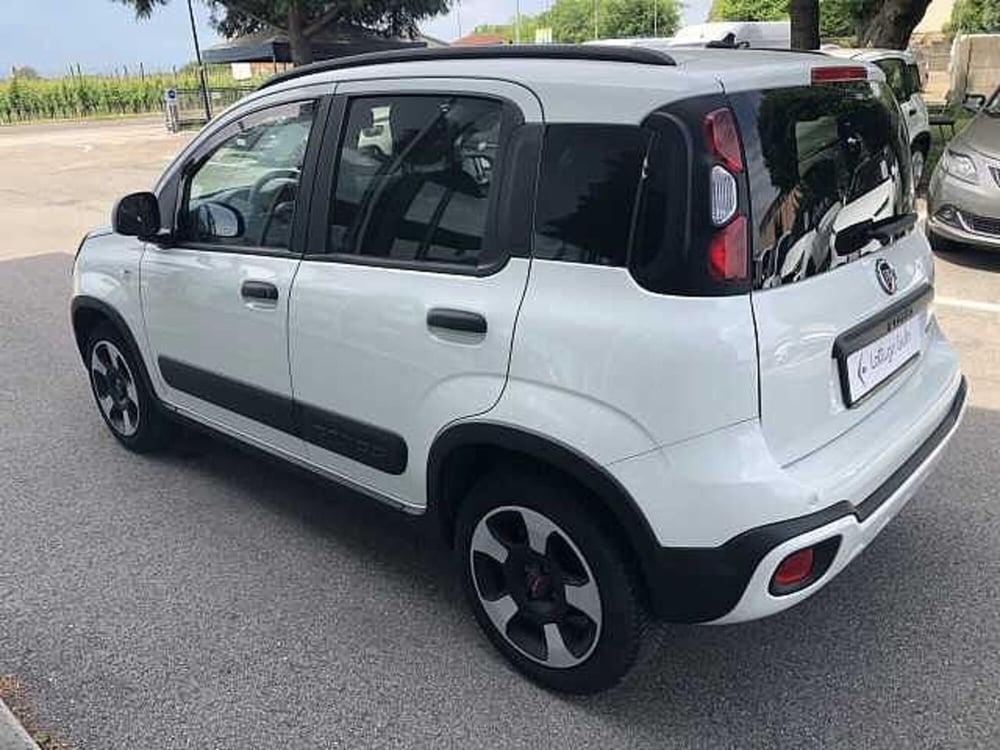 Fiat Panda usata a Ravenna (6)