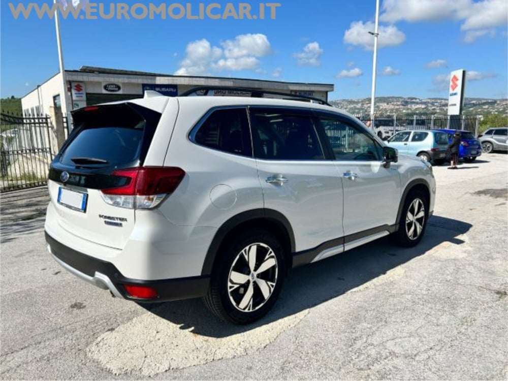 Subaru Forester usata a Campobasso (9)