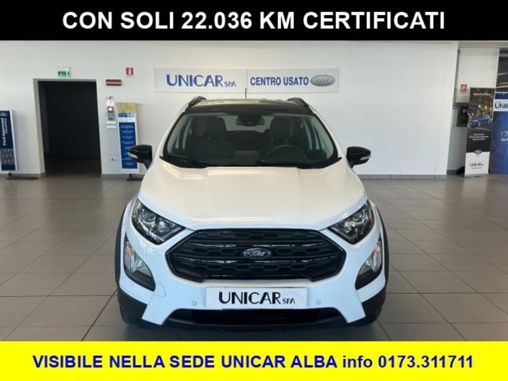 Ford EcoSport usata a Cuneo (2)