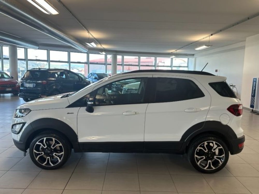 Ford EcoSport usata a Cuneo (4)