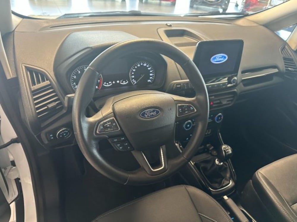Ford EcoSport usata a Cuneo (9)