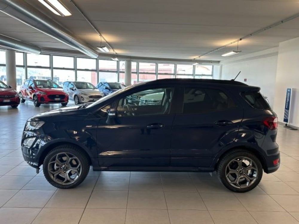 Ford EcoSport usata a Cuneo (4)