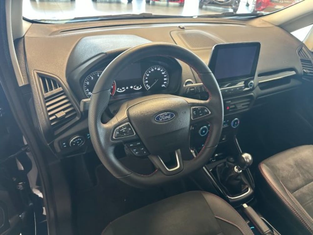 Ford EcoSport usata a Cuneo (9)