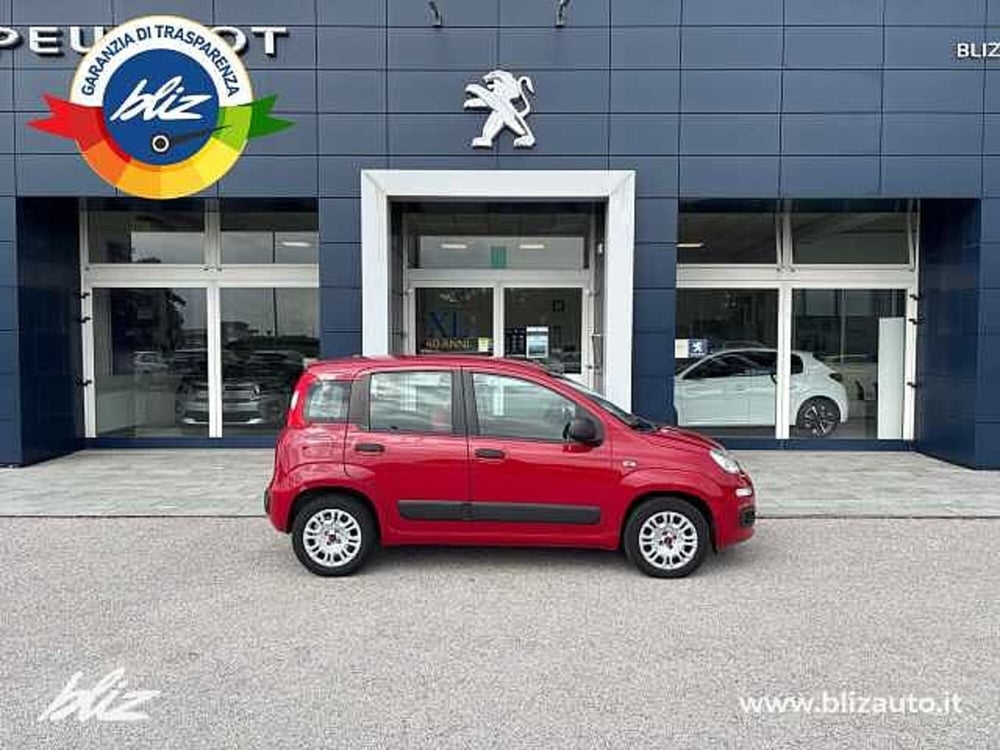 Fiat Panda usata a Udine (4)