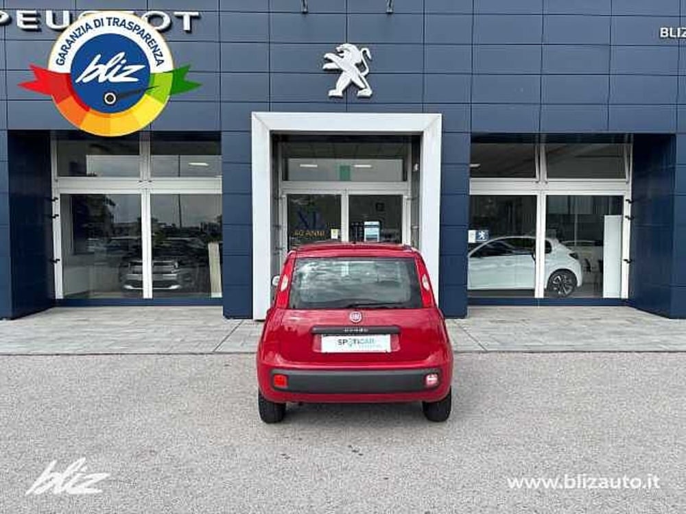 Fiat Panda usata a Udine (6)