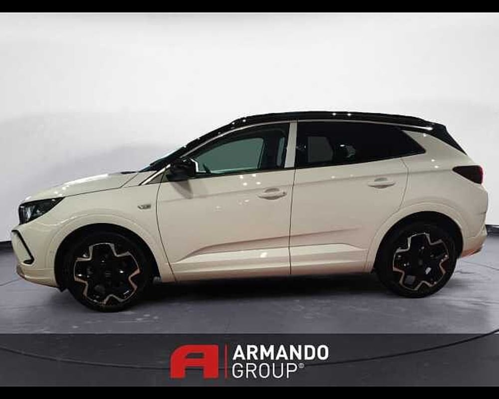 Opel Grandland X usata a Cuneo (7)