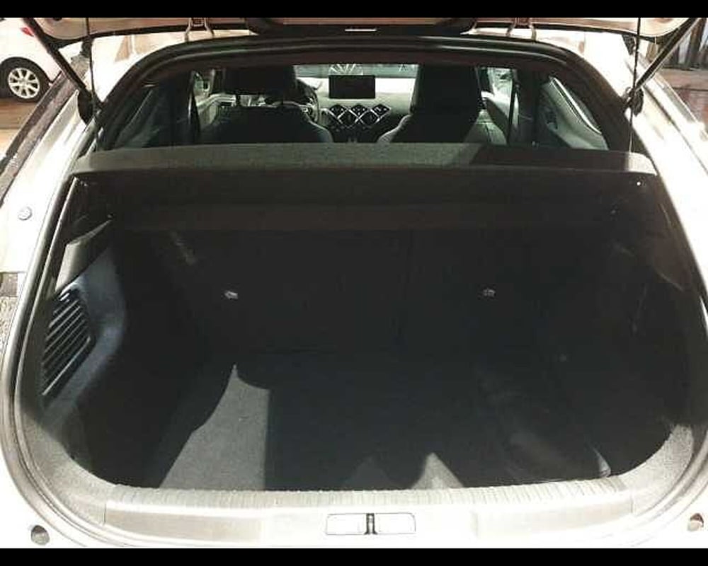 Ds DS 3 usata a Cuneo (7)