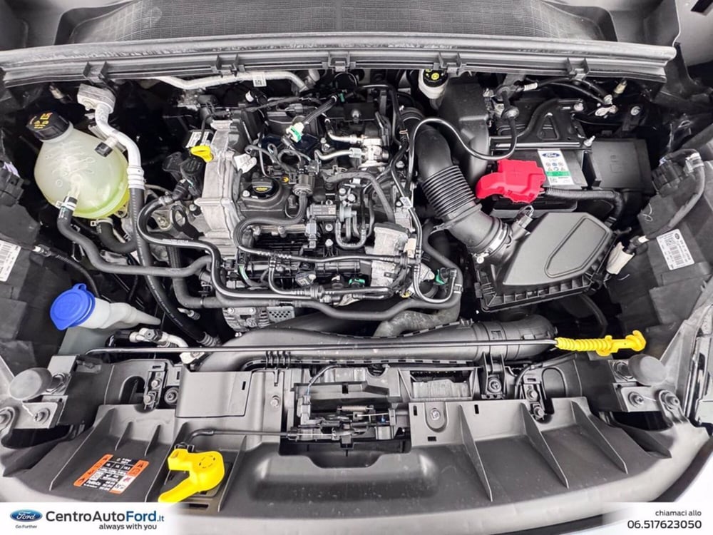 Ford Puma usata a Roma (12)