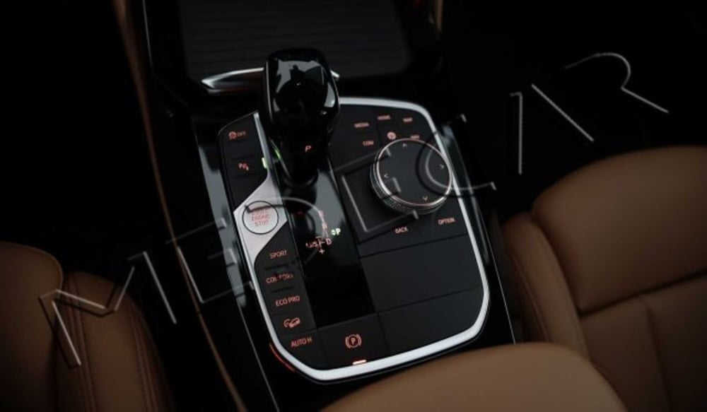 BMW X4 usata a Potenza (15)