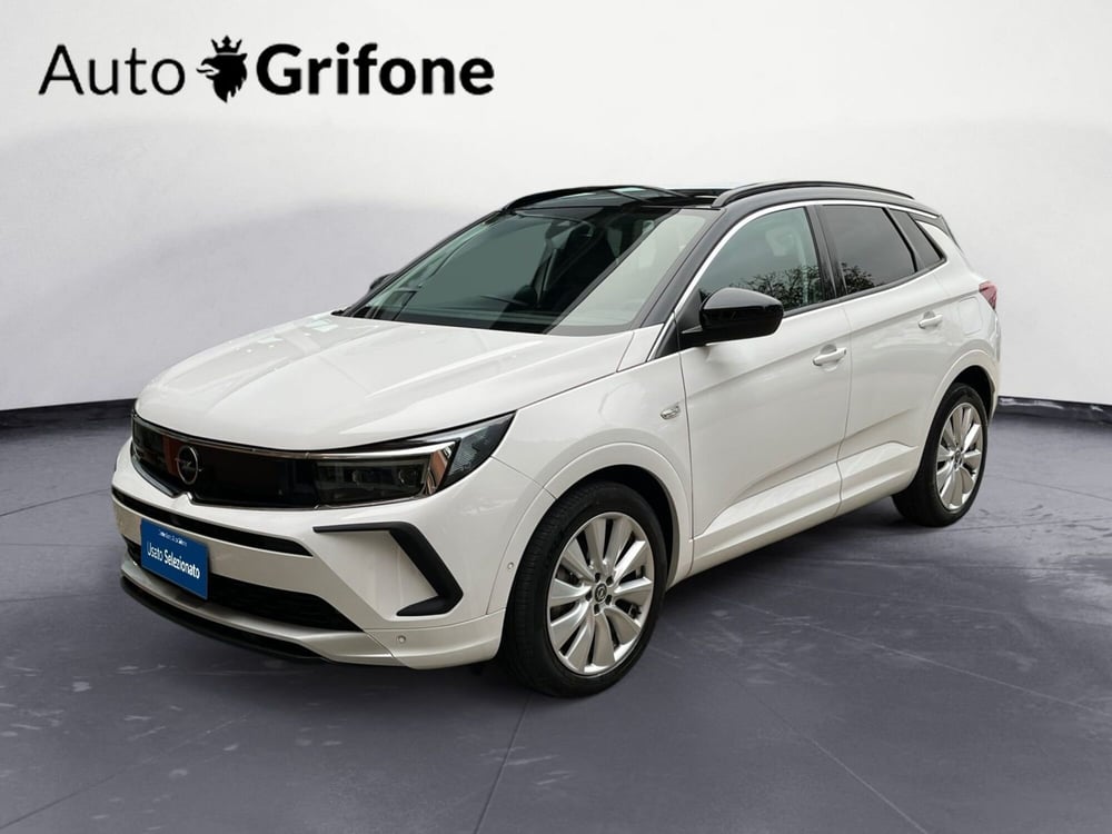 Opel Grandland X usata a Modena (2)
