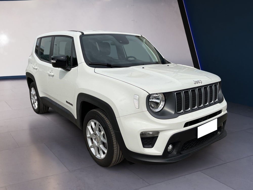 Jeep Renegade usata a Torino (3)