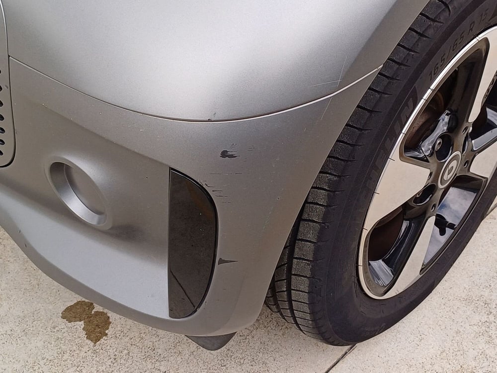 smart Fortwo usata  (14)