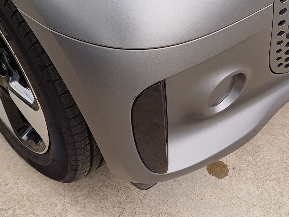 smart Fortwo usata  (15)
