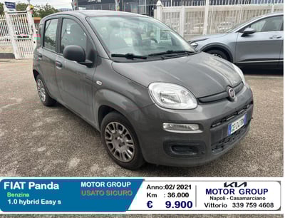 Fiat Panda 1.0 FireFly S&amp;S Hybrid Easy del 2021 usata a Casamarciano