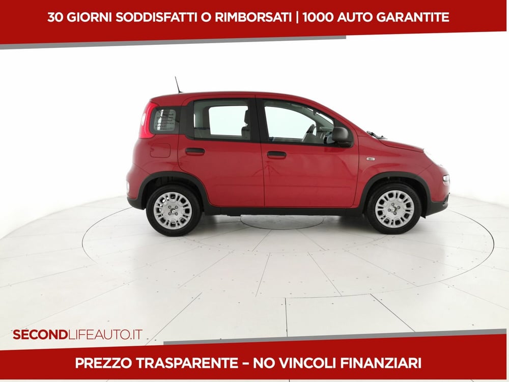 Fiat Panda nuova a Roma (4)