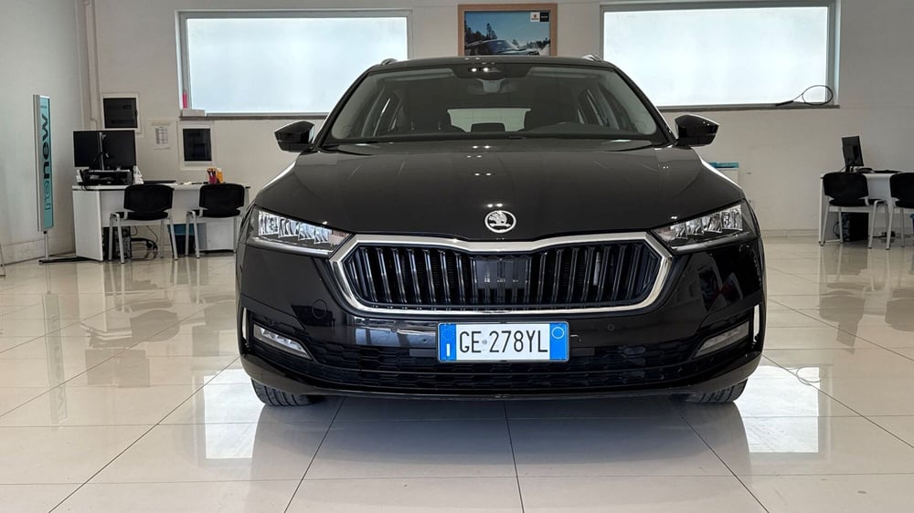 Skoda Octavia Station Wagon usata a Viterbo (2)