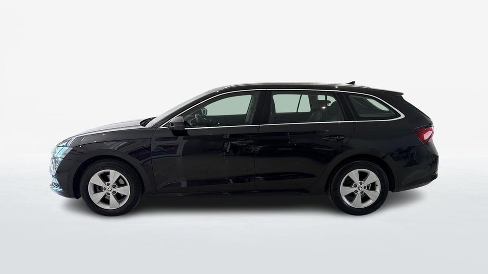 Skoda Octavia Station Wagon usata a Viterbo (4)