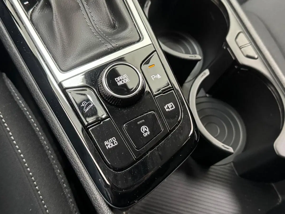 Kia Sportage usata a Como (20)
