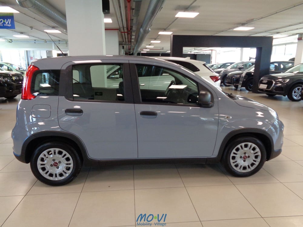 Fiat Panda Cross usata a Torino (11)