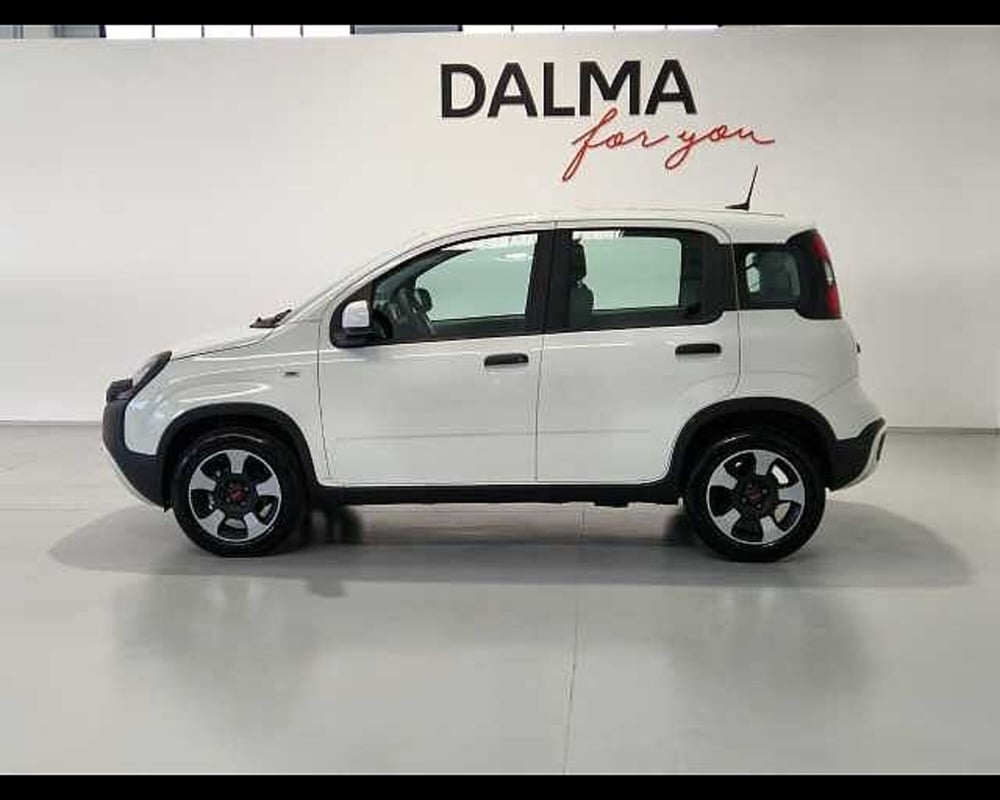 Fiat Panda Cross usata a Milano (16)