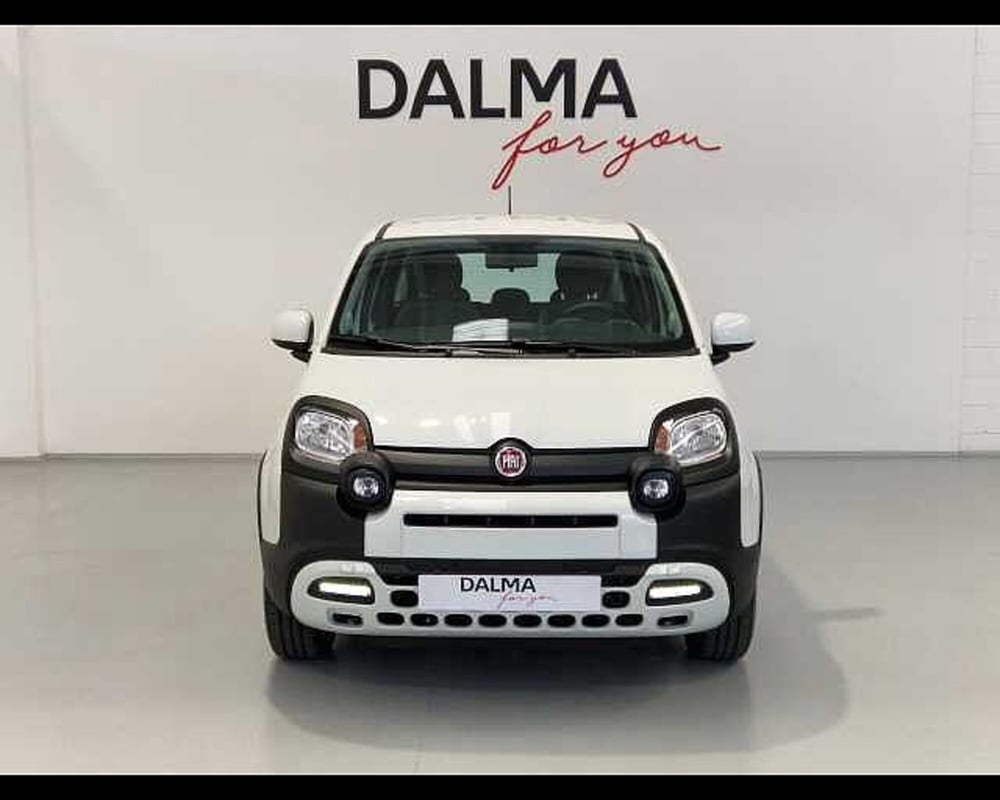 Fiat Panda Cross usata a Milano (2)