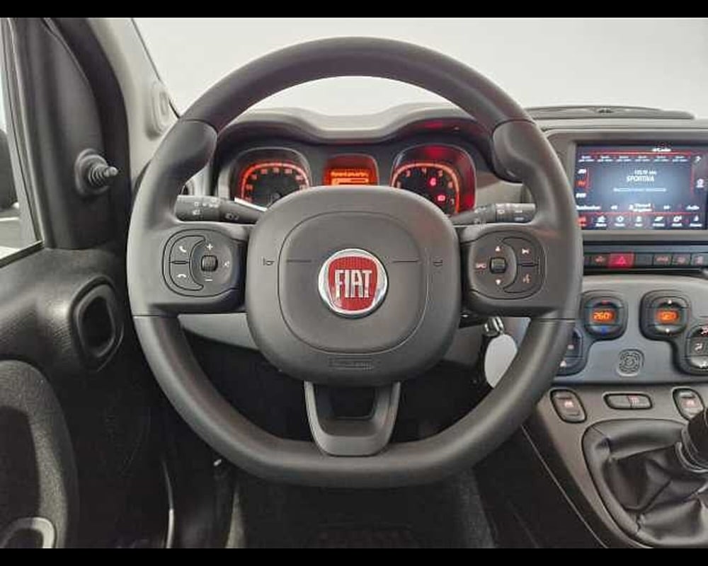 Fiat Panda Cross usata a Milano (8)