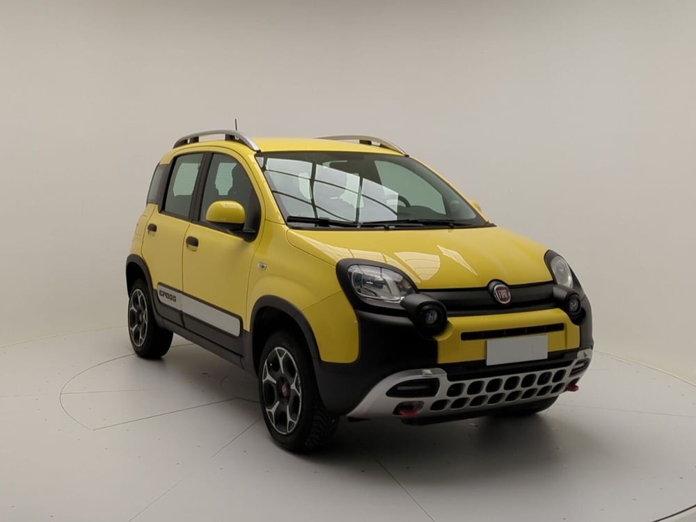 Fiat Panda Cross usata a Benevento