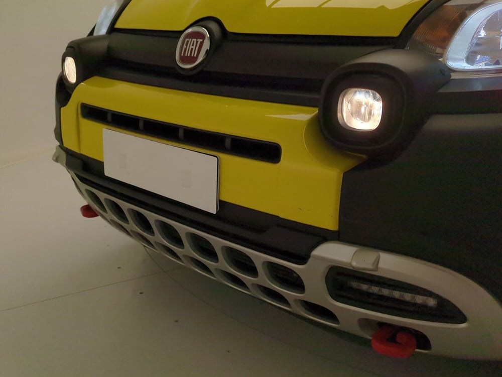 Fiat Panda Cross usata a Benevento (10)
