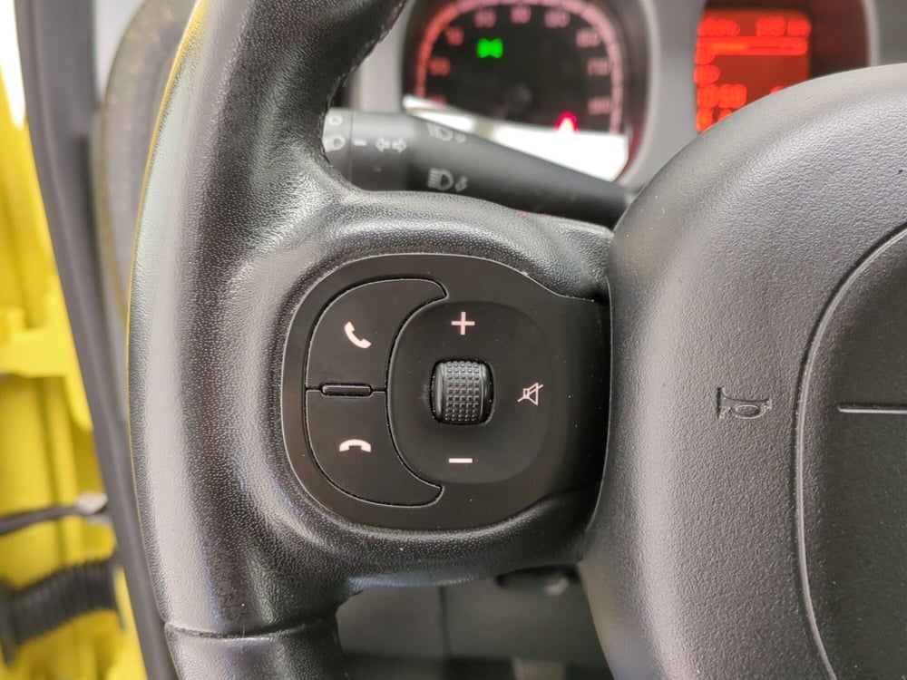 Fiat Panda Cross usata a Benevento (19)