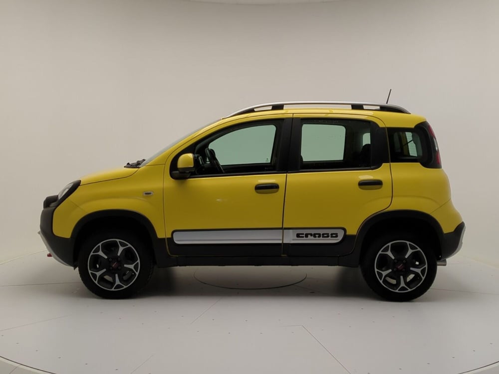 Fiat Panda Cross usata a Benevento (4)
