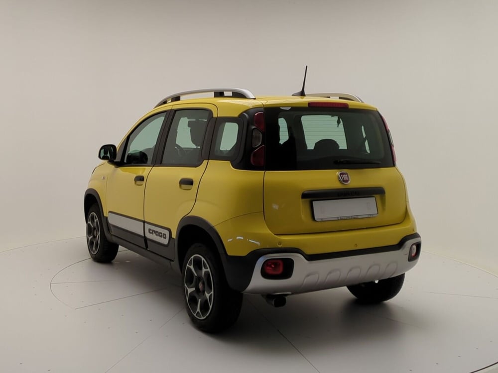 Fiat Panda Cross usata a Benevento (5)