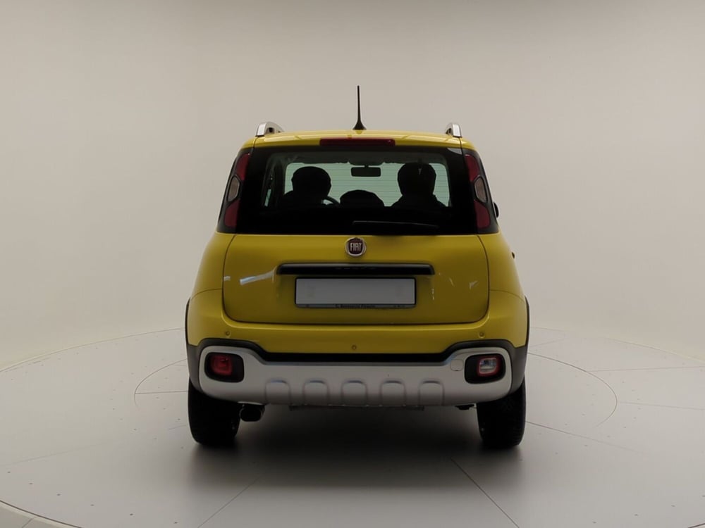 Fiat Panda Cross usata a Benevento (6)