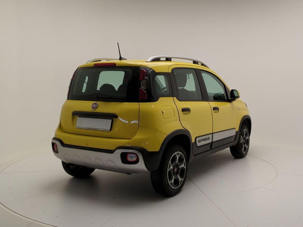 Fiat Panda Cross usata a Benevento (7)