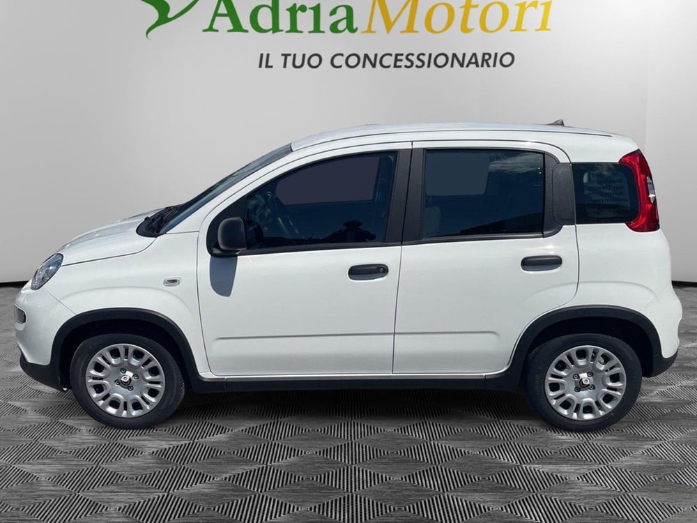 Fiat Panda Cross nuova a Udine (2)