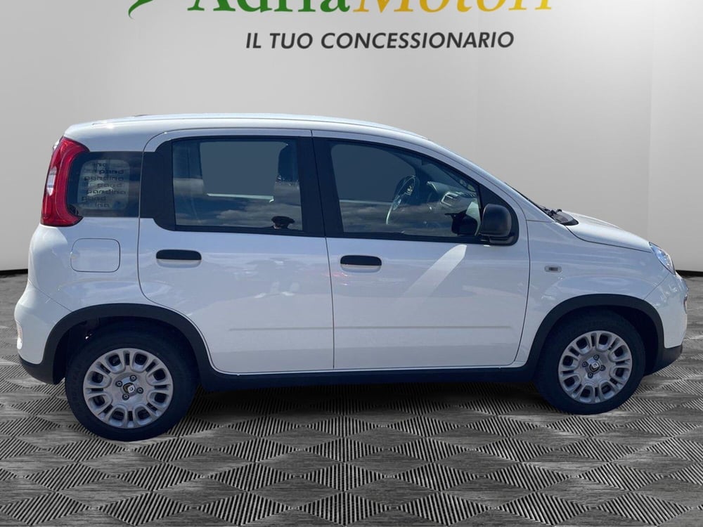 Fiat Panda Cross nuova a Udine (6)