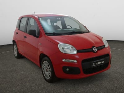 Fiat Panda 1.2 Easy del 2019 usata a Torino