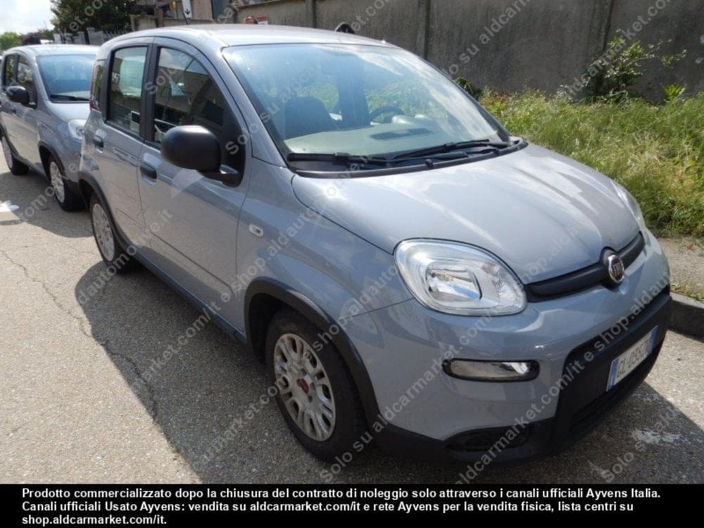 Fiat Panda Cross usata a Modena (2)