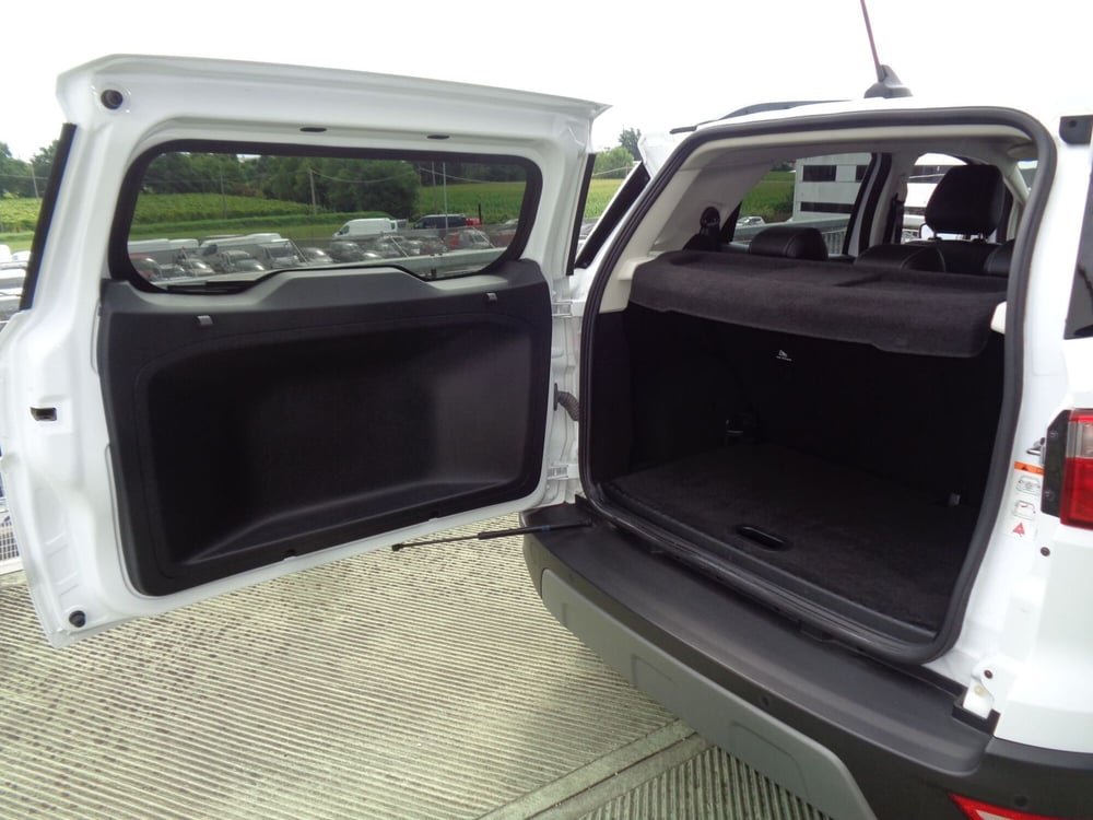 Ford EcoSport usata a Belluno (17)