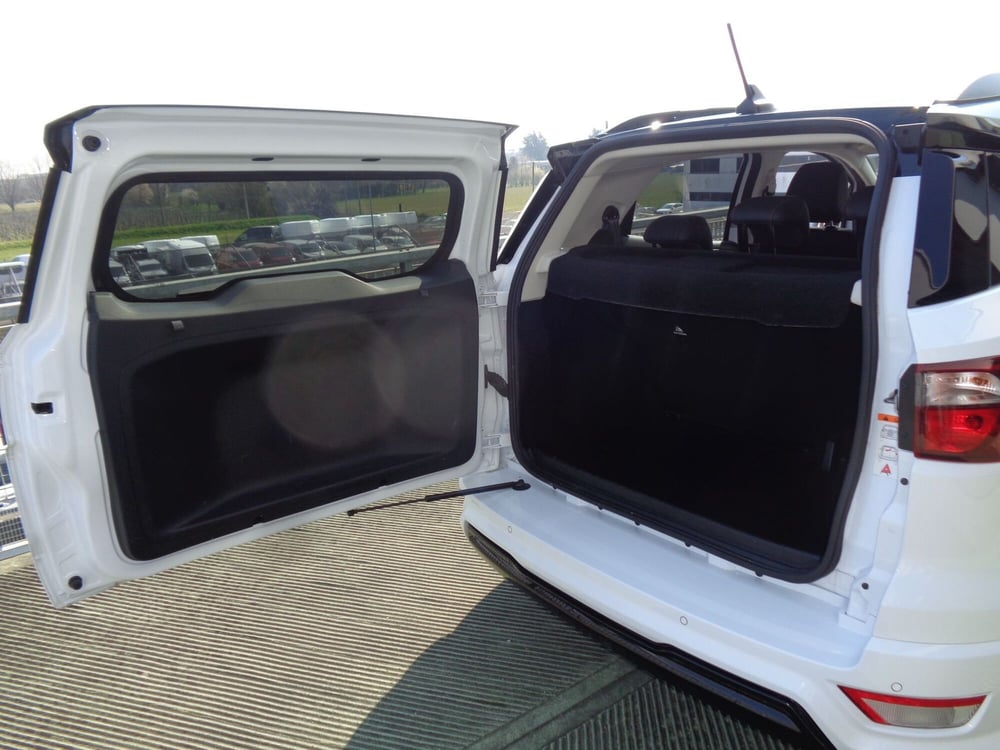 Ford EcoSport usata a Belluno (18)