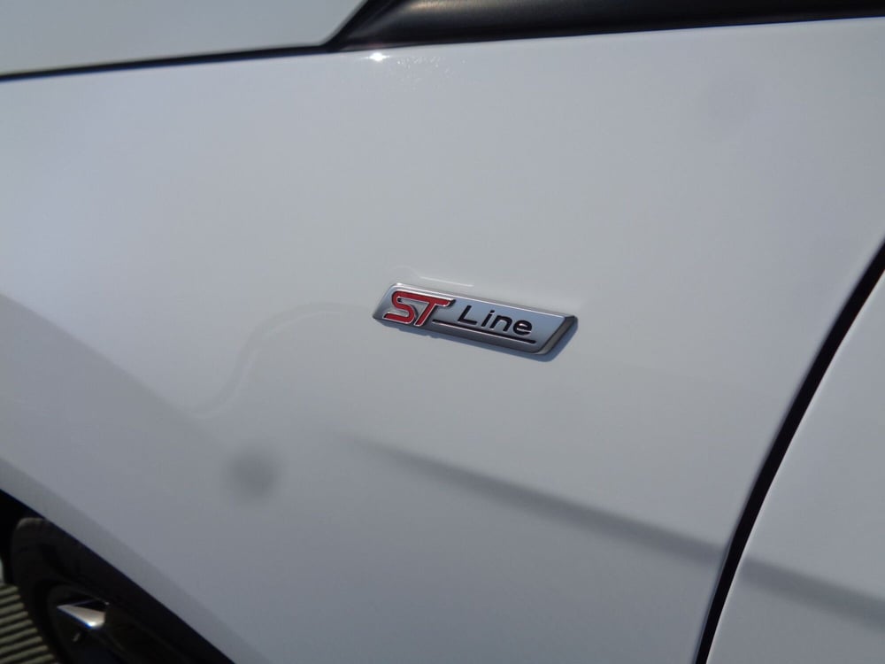 Ford EcoSport usata a Belluno (7)