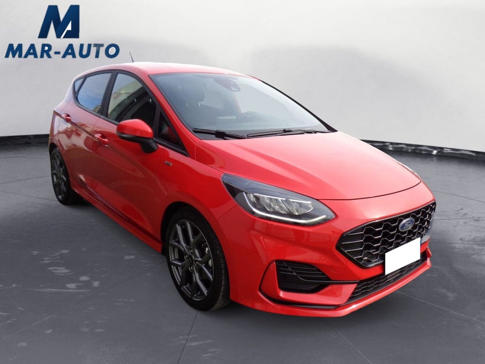 Ford Fiesta usata a Belluno (4)