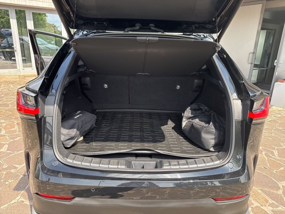 Lexus NX usata a Bergamo (17)