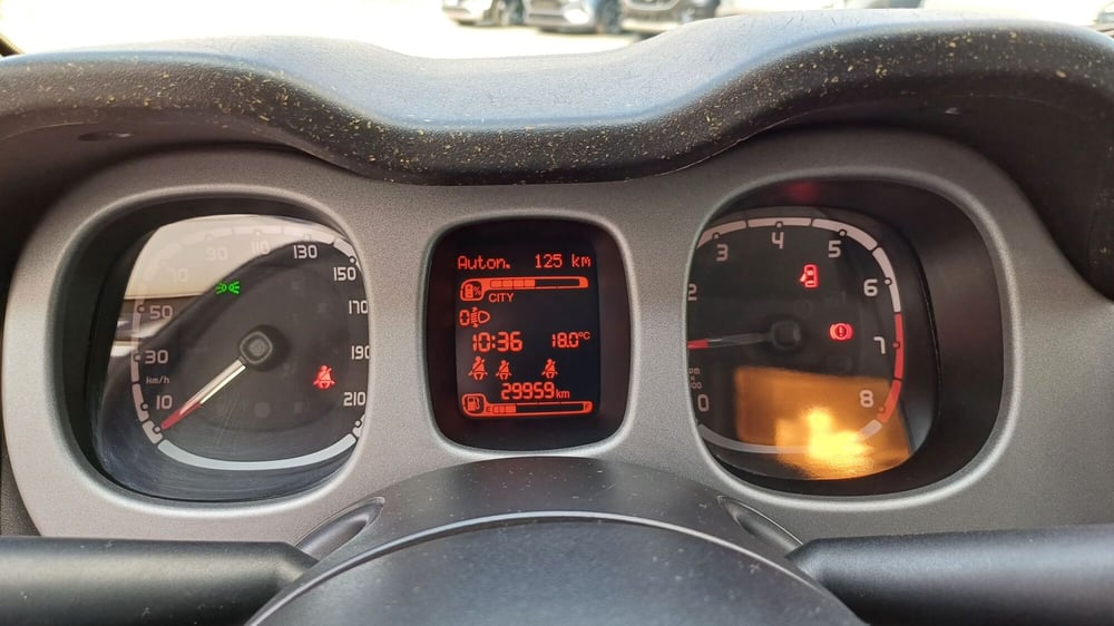 Fiat Panda Cross usata a Padova (16)