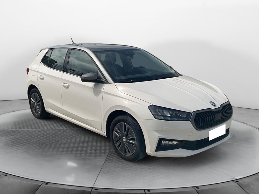 Skoda Fabia usata a Reggio Calabria (7)