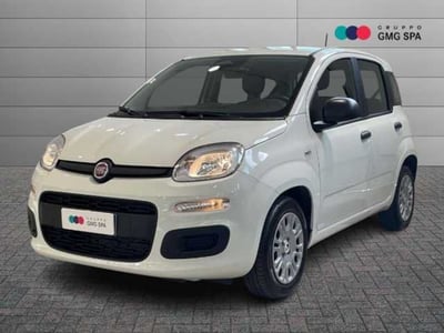 Fiat Panda Cross Cross 1.0 FireFly S&amp;S Hybrid del 2025 usata a Pistoia