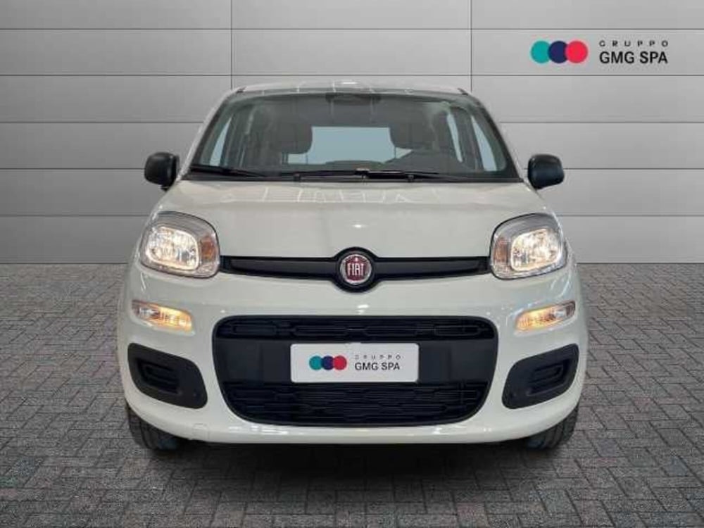 Fiat Panda Cross usata a Pistoia (2)